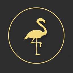 ФламинGo | Голубицкая