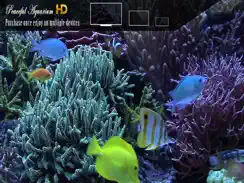 Peaceful Aquarium HD iPad image 2