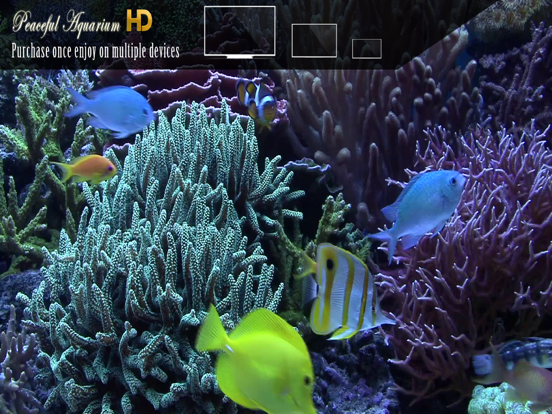 Screenshot #5 pour Peaceful Aquarium HD