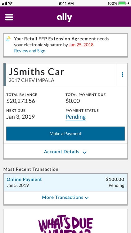 Ally Auto Mobile Pay screenshot-3