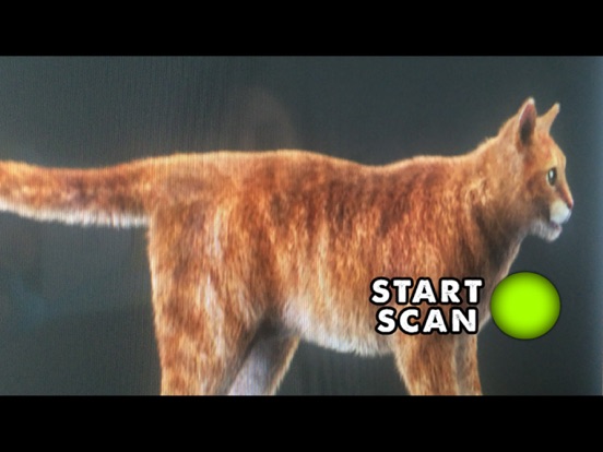 Screenshot #6 pour Simulator X-Ray Photo Cat