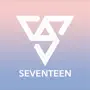 Seventeen Light Stick