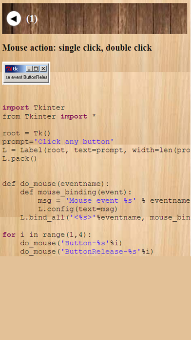 Python programming Tutorial Screenshot