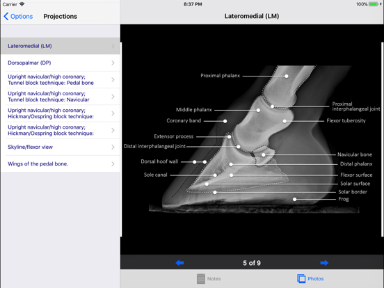 Equine Radiography iPad app afbeelding 1