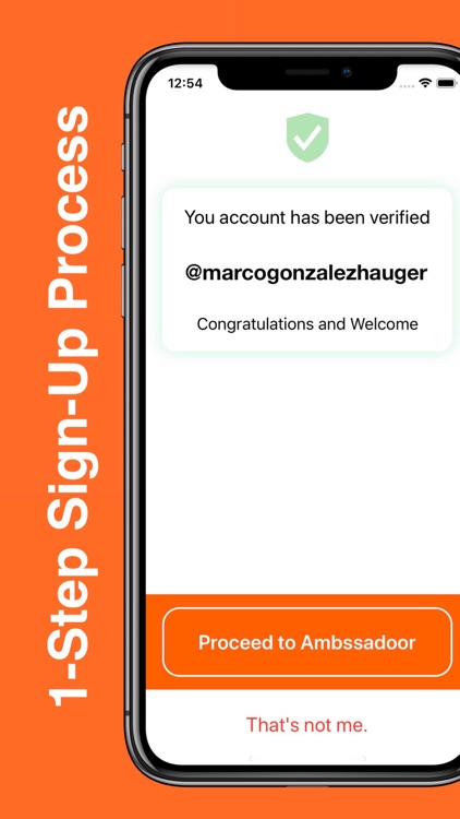 Ambassadoor screenshot-3