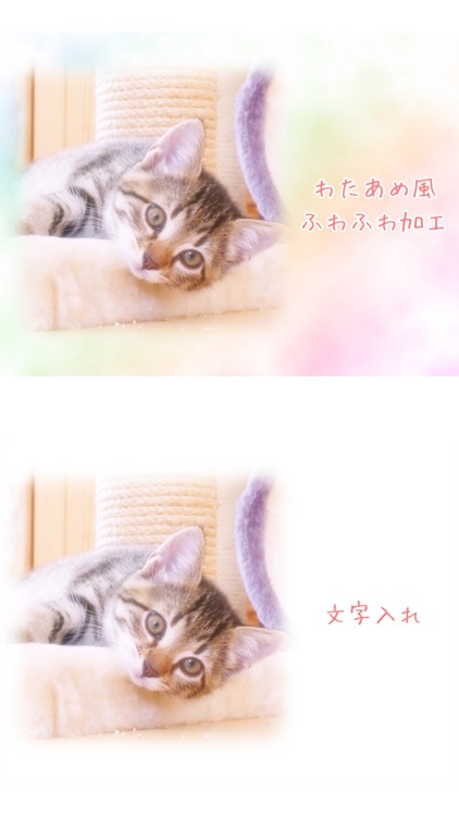 わたあめカメラ