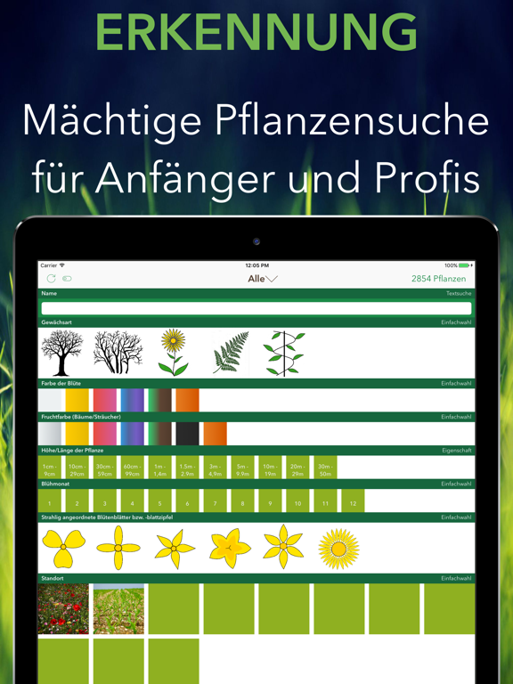 Screenshot #4 pour Krautfinder