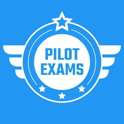 Pilot Exams Читы