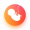 Due date calculator lets you calculate your baby's estimated due date