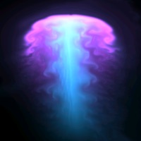 Fluids & Particle Simulation