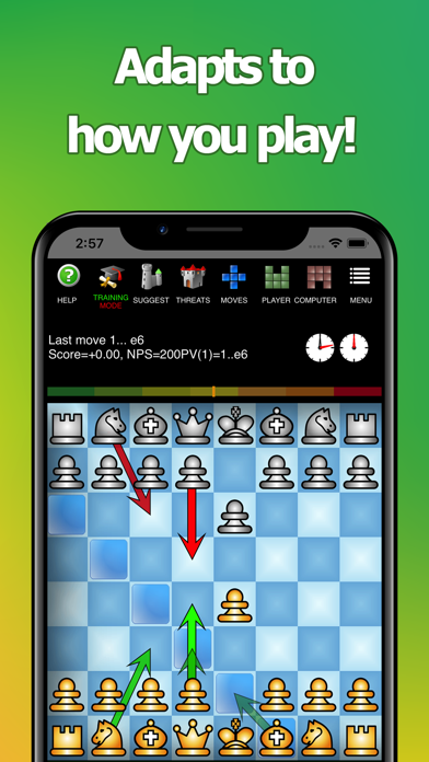 Chess Professional screenshot 4
