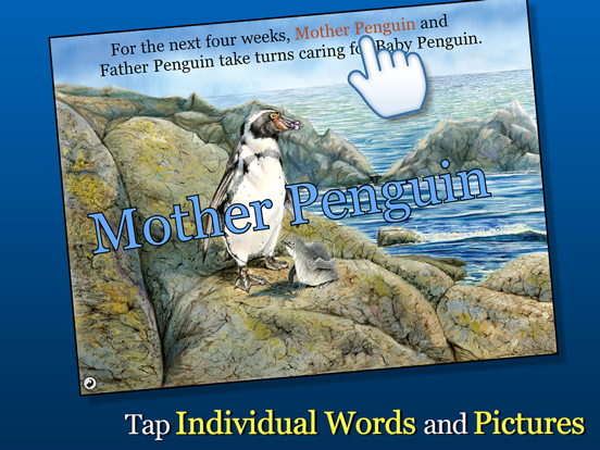 Screenshot #6 pour Penguin's Family - Smithsonian