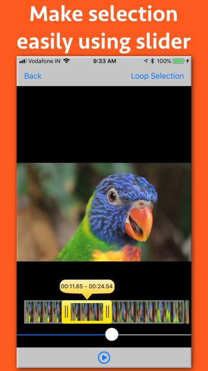 Video Looper Pro