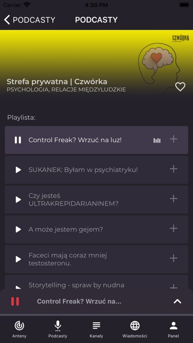 Polskie Radio Screenshot