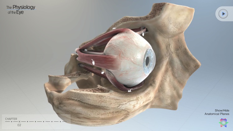 The Physiology of the Eye screenshot-3