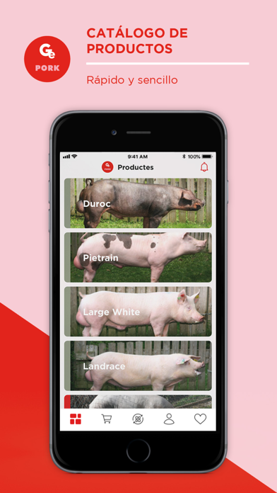 Gepork Screenshot