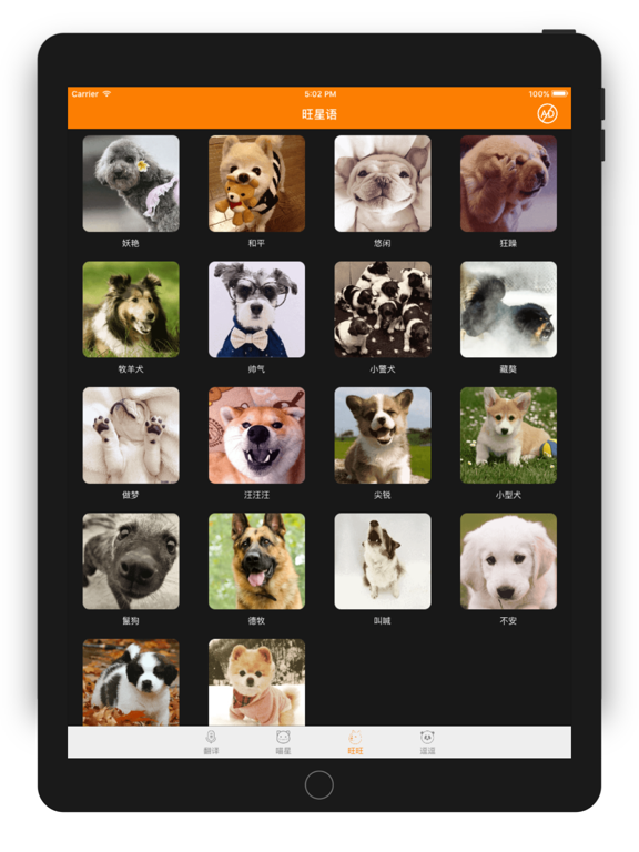 Screenshot #5 pour 人猫狗翻译 - 人狗猫咪,动物宠物互相交流