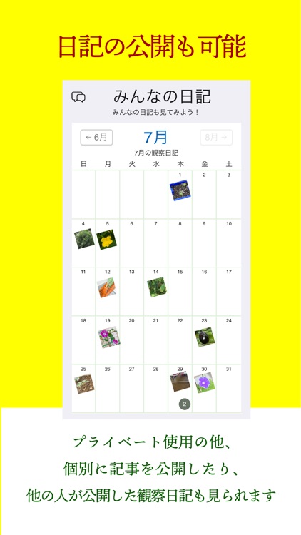 グロウンお日さま観察日記 screenshot-5
