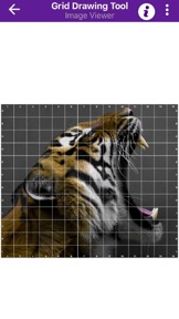 Grid Drawing Tool for Artists screenshot