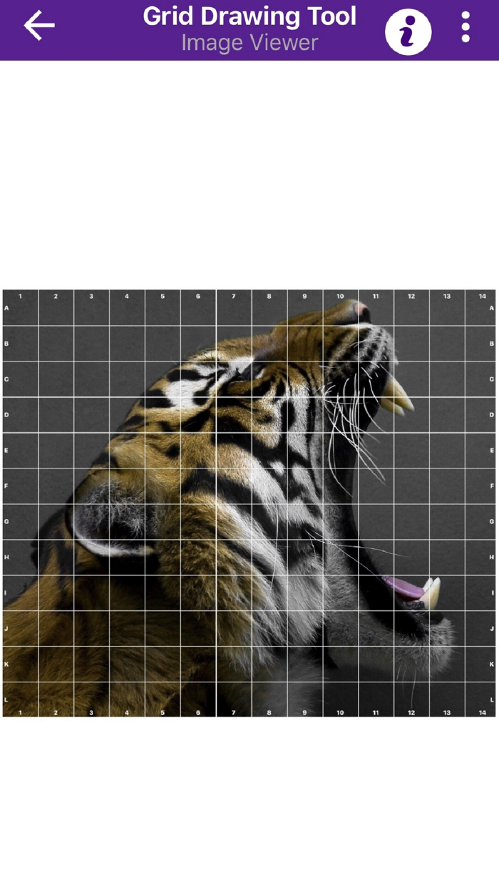 Grid Drawing Tool for Artists