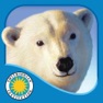 Get Polar Bear Horizon for iOS, iPhone, iPad Aso Report