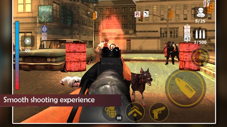 Zombie Shot Killer