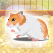 ‎Hamster Pet