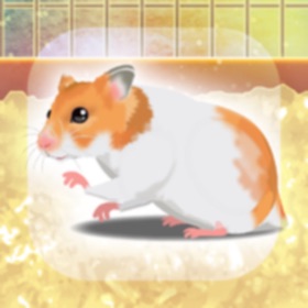 螢幕擷取畫面 (1) Hamster Pet
