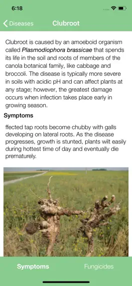 Game screenshot NDSU Canola Doctor hack