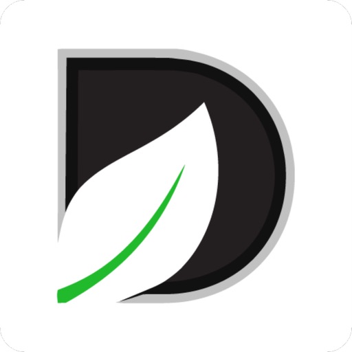 DreamCity Surplus Market