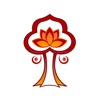 Bodhi Tree Yoga