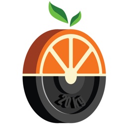 Coaching Studio Online