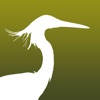 HKcBirds: Common Birds of HK icon
