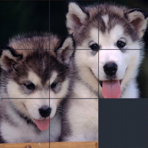 Jigsaw Puzzle: Classic Puzzle