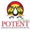 Potent Jamaican Black Castor Oil  are affordable hair care products