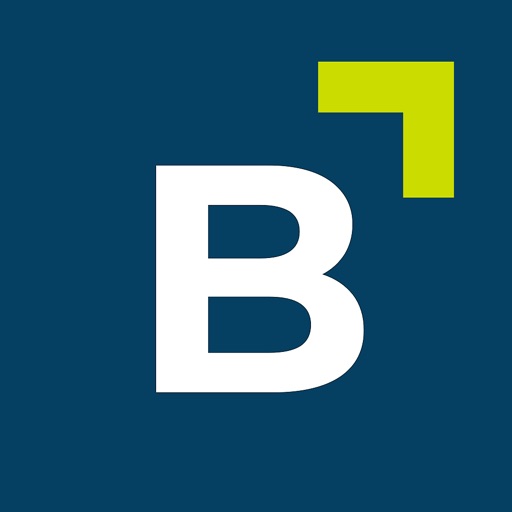 BERGFÜRST Digitale Investments