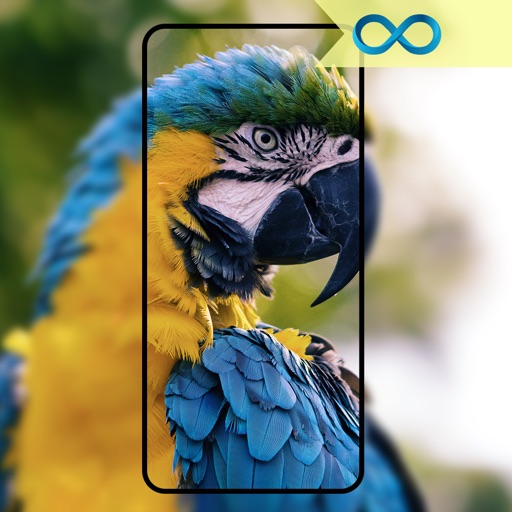 HD Wallpapers Pro For Me - AppWisp.com