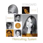 Standard Haircutting System App Problems