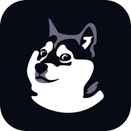 Dogecoin by Hundred Spires