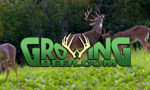 GrowingDeer icon