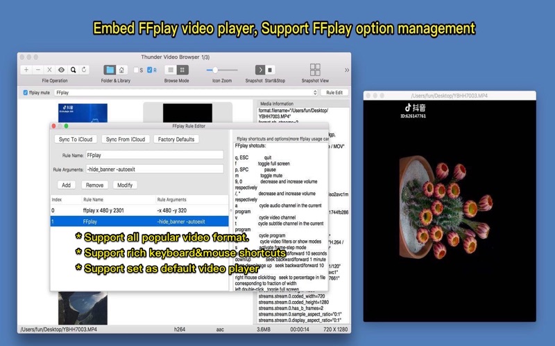 Screenshot #3 pour Fast Video Browser