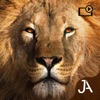 Safari: Evolution - iPhoneアプリ