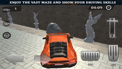 Maze Escape: Car Parking Lever screenshot 3
