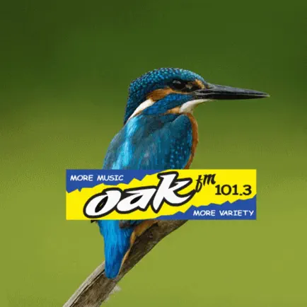 OAK FM 101.3 Читы