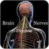 Brain and Nerves Disease contact information