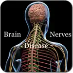 Brain and Nerves Disease App Positive Reviews