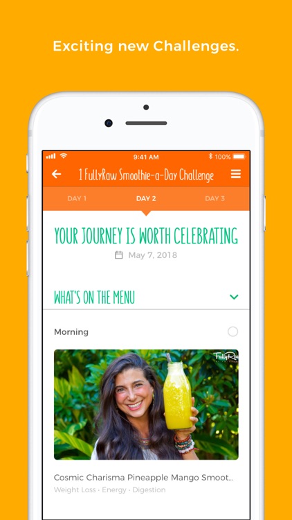 FullyRaw by Kristina screenshot-4