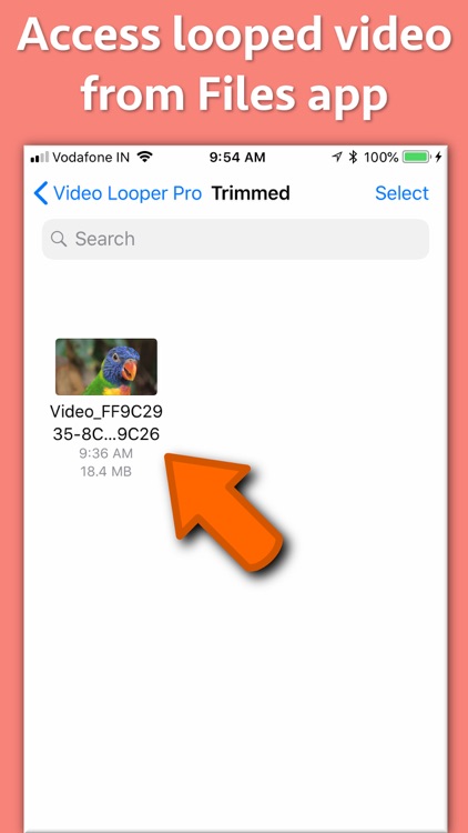 Video Looper Pro screenshot-6