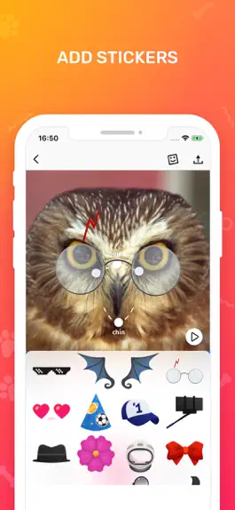 Game screenshot Make Your Pet Talk: Filters hack