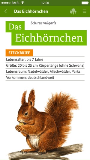 Die Waldfibel(圖2)-速報App